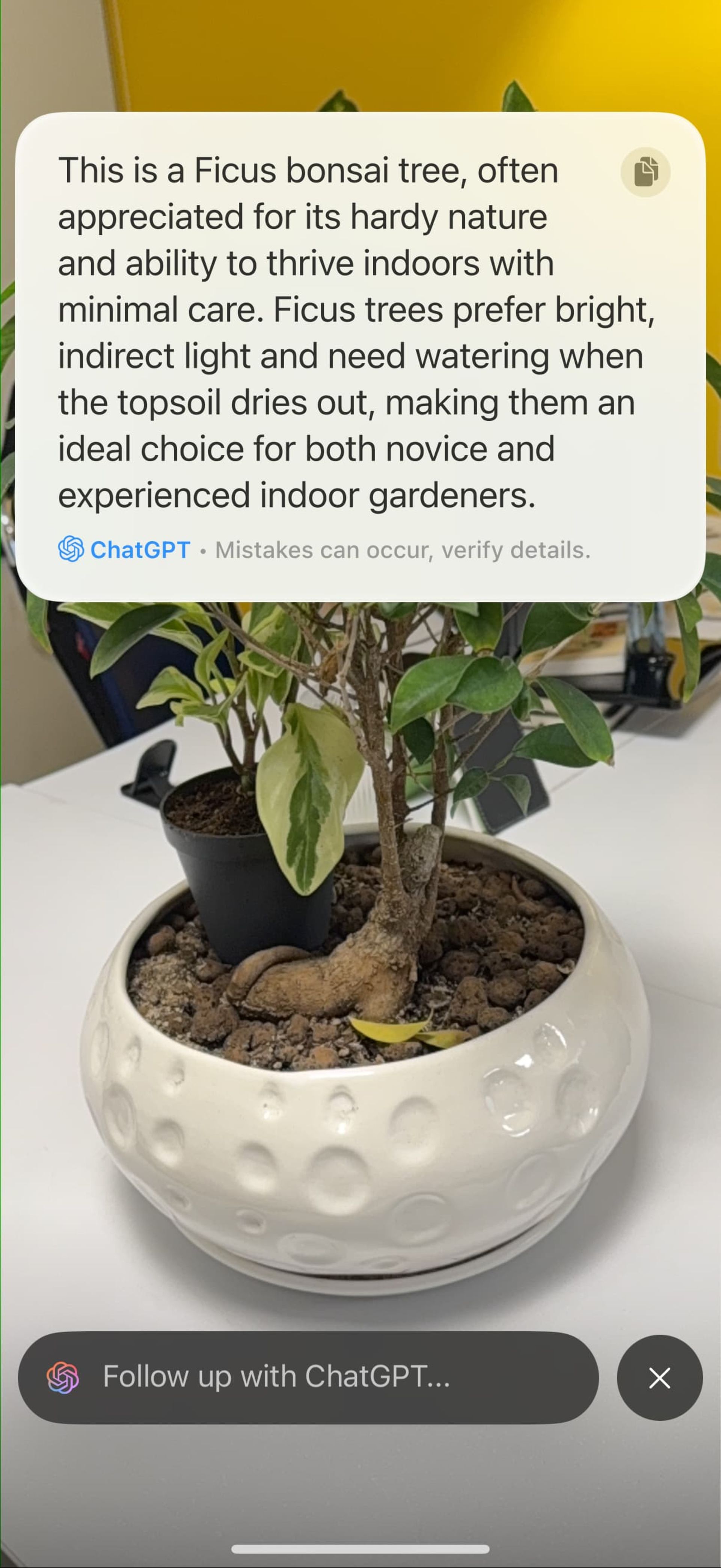 visual-intelligence-chatgpt-6726007efe1bf099fd562486 آنالیز تصویر با ChatGPT در قابلیت Visual Intelligence