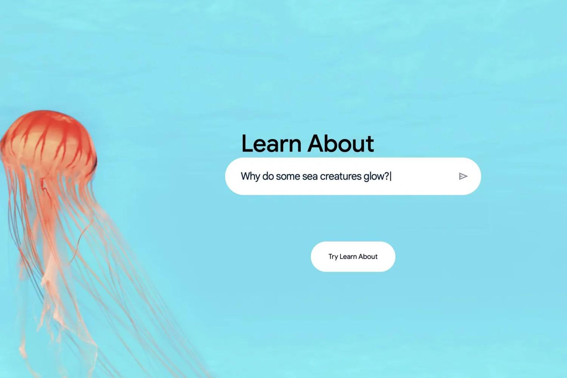 learn-about-google-67330bf67a5530633c07162c-1 هوش مصنوعی Learn About گوگل